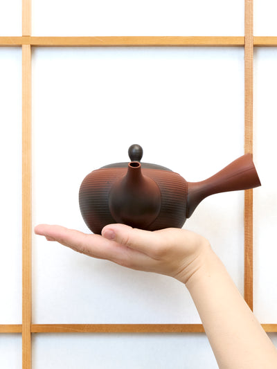 Hinode Tokoname Japanese Teapot by Morimasa (13.5oz/400ml)