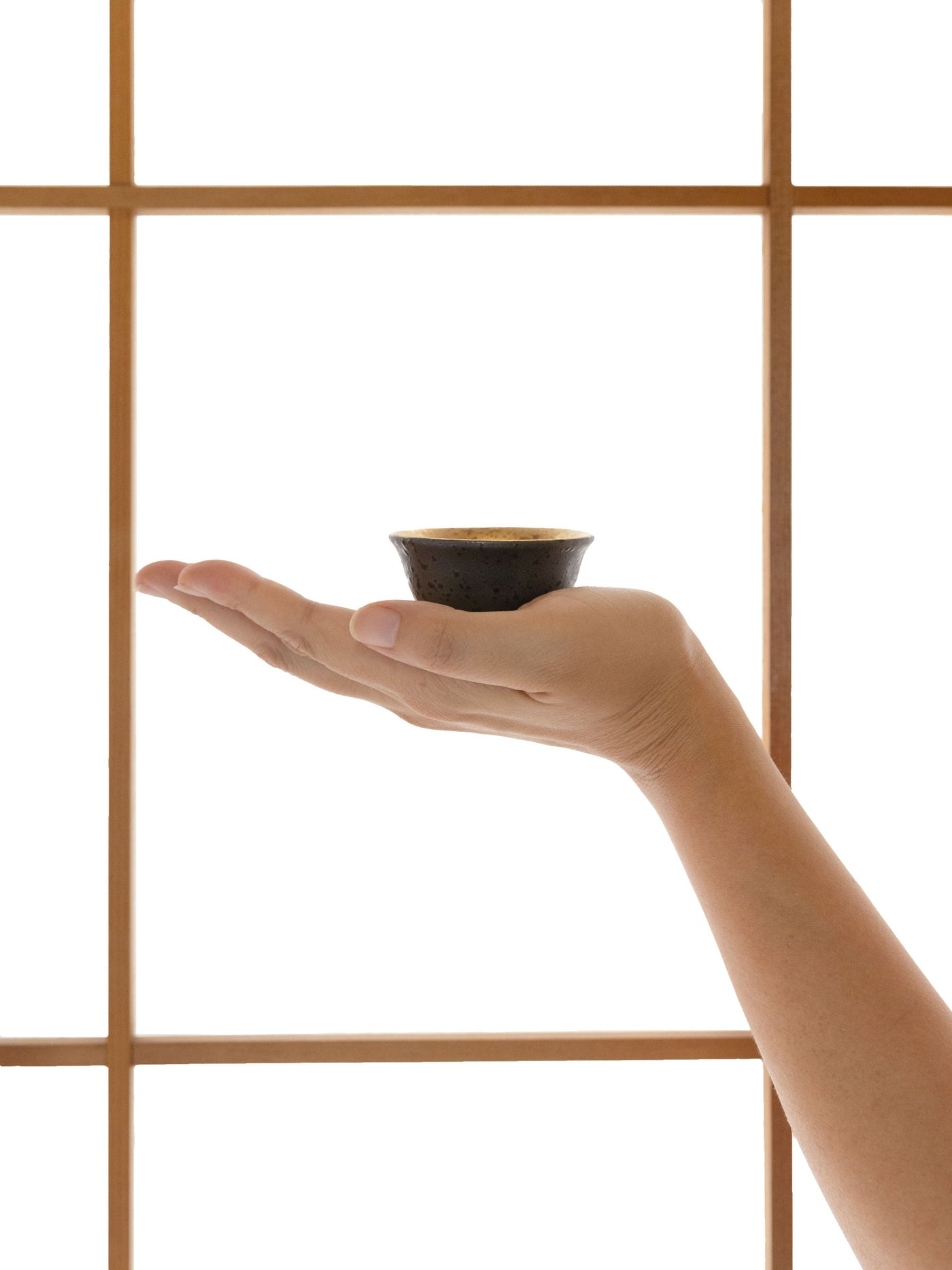 Black Kinmaki Mino Ware Japanese Sake Set by Yamai