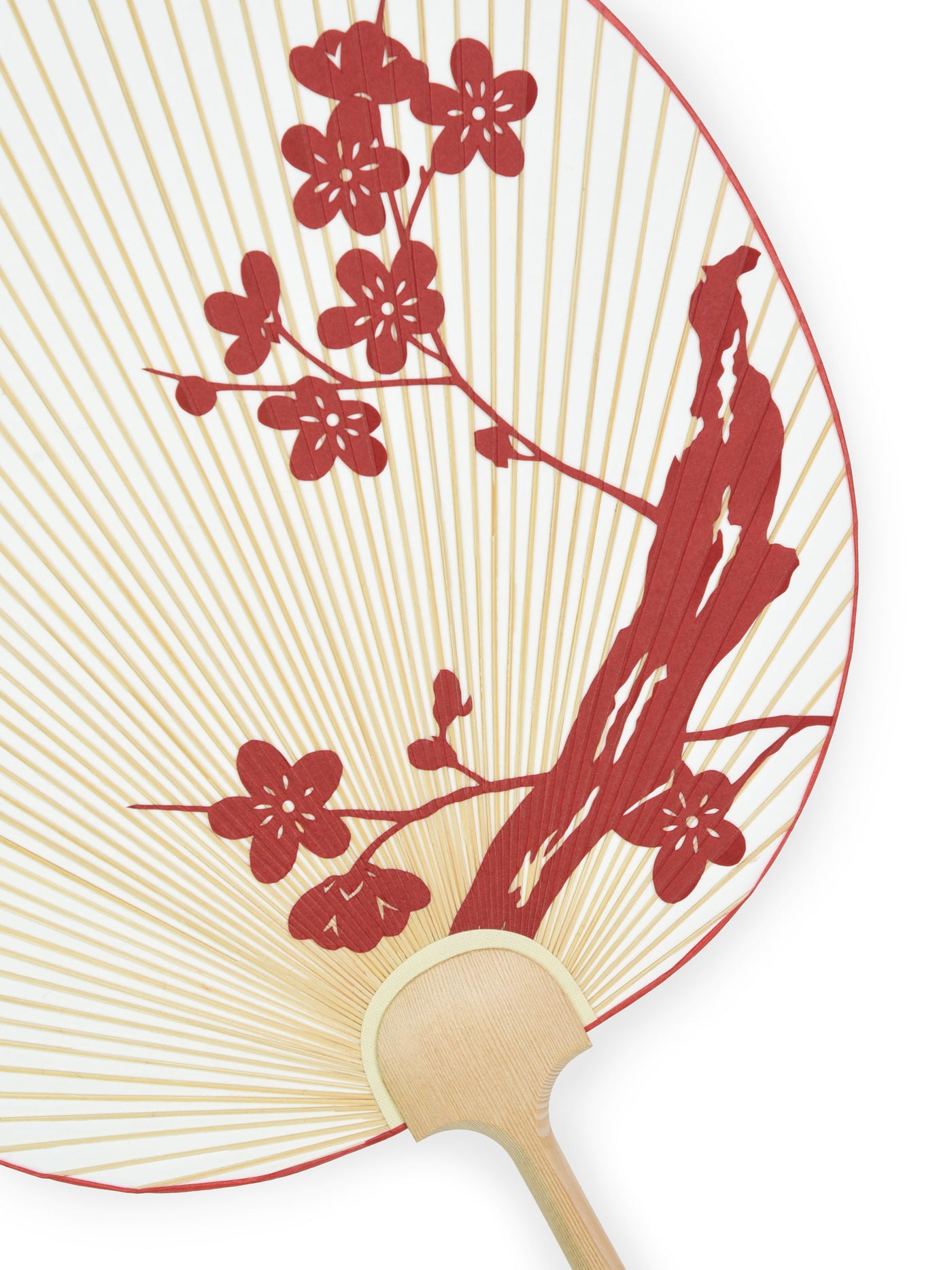 Ume Blossom Kyoto Uchiwa Fan