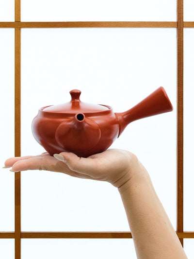 Red Clay Tokoname Japanese Teapot Set by Ukou (12oz/360ml)