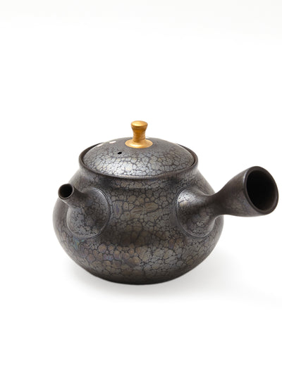 Plum Blossom Tokoname Japanese Teapot by Shoryu (9oz/270ml)