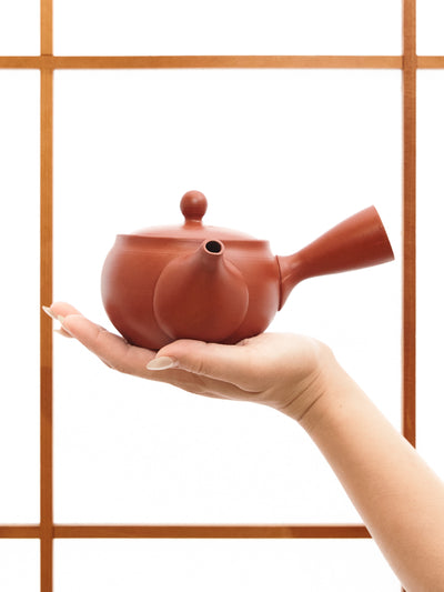 Red Clay Tokoname Japanese Teapot (10.8oz/320ml)