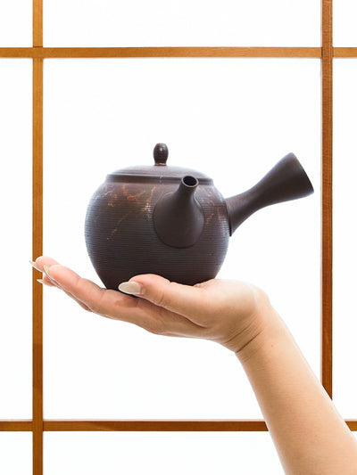 Large Seagrass Tokoname Japanese Teapot by Gyoko (11.5oz/340ml)