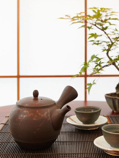 Large Seagrass Tokoname Japanese Teapot by Gyoko (11.5oz/340ml)