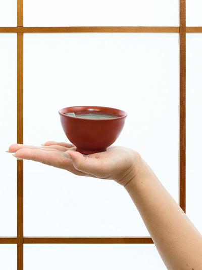 Tasses à Thé Japonaises Tokoname en Argile Rouge d'Ukou